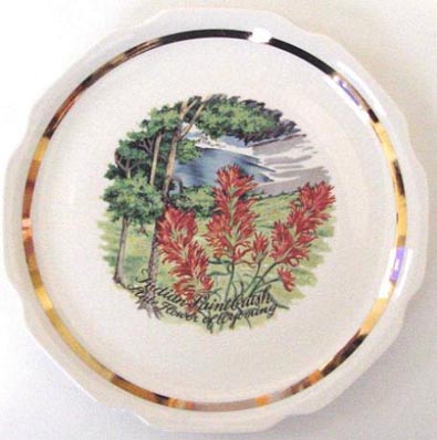 Indian Paintbrush - State Flower of Wyoming - Plate Front