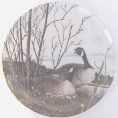 Nesting - by David Pentz - Plate Front