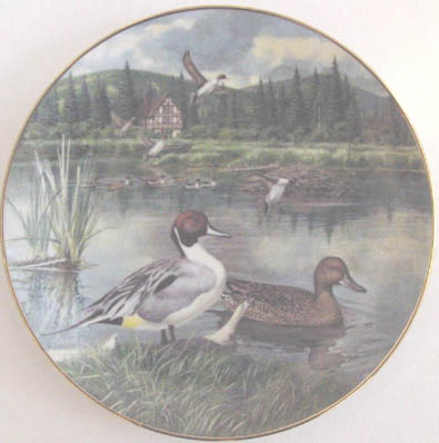 The Pintail - by Bart Jerner - Plate Front