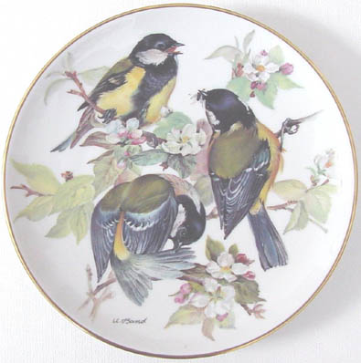 Kohlmeise - Great Tit - by Ursula Band - Plate Front