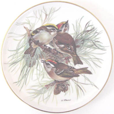 Sommergoldhahnchen - Firecrest - by Ursula Band - Plate Front