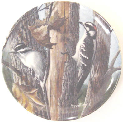 The Downy Woodpecker - by Kevin Daniel - Plate Front