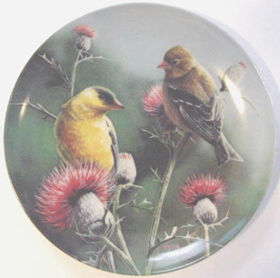 The Goldfinch - by Kevin Daniel - Plate Front