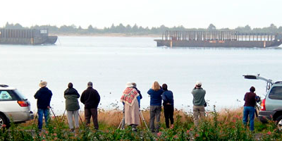 Birdwatchers