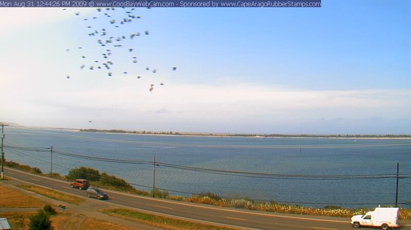 Coos Bay, Oregon on August 31, 2009