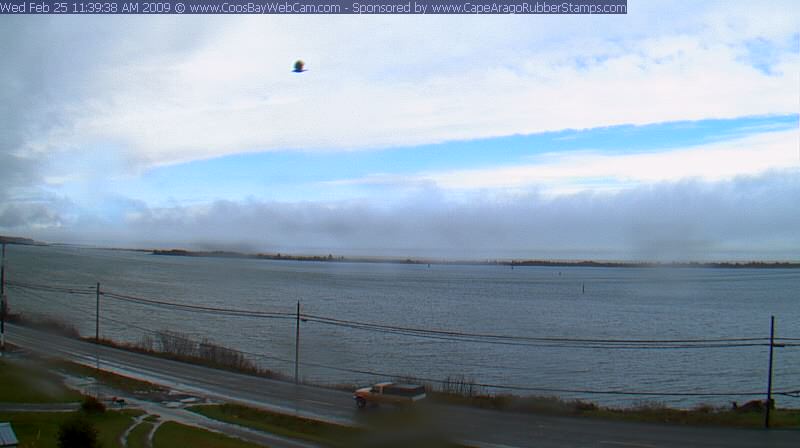 Fog bank at Coos Bay, Oregon on February 25, 2009