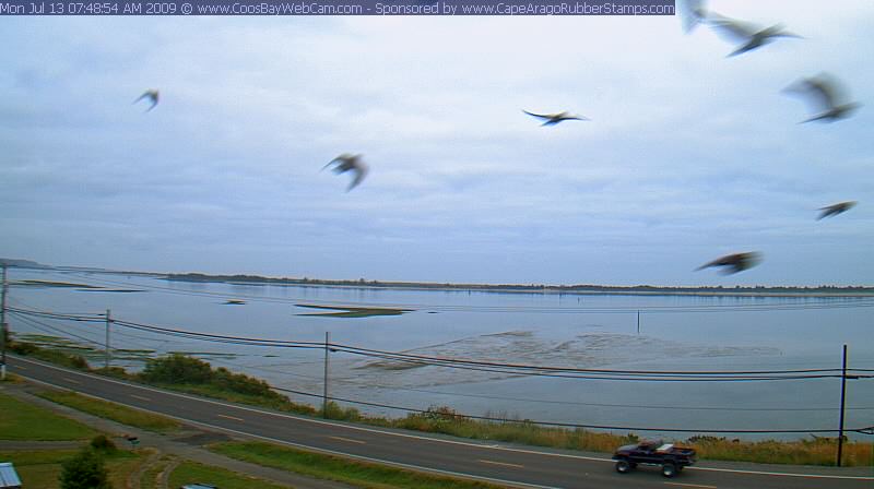 Coos Bay, Oregon on July 13, 2009